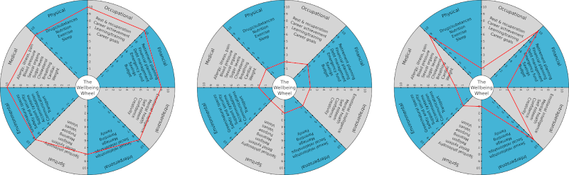 wellbeing wheel 3 images 800